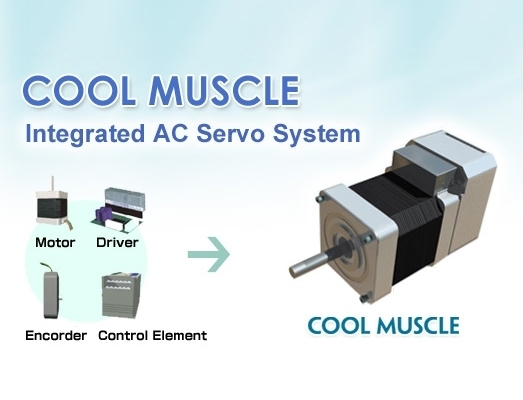 Integrated servo system