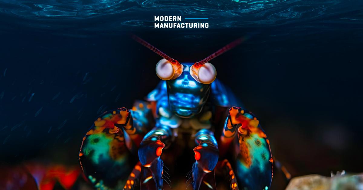 Mantis Shrimp Robot