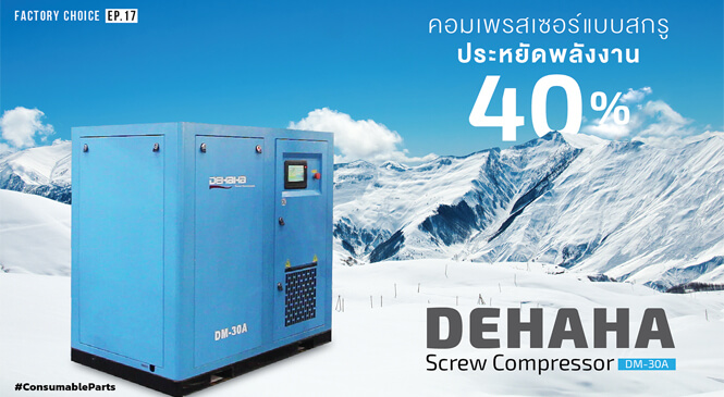 DEHAHA Screw Compressor