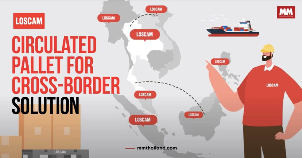 LOSCAM Circulated Pallet for Cross-border